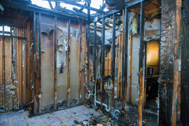 Professional Firefighting Water Removal technician working in Loretto, MN