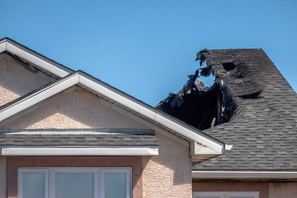 Top rated local Firefighting Water Removal specialists in Loretto, MN